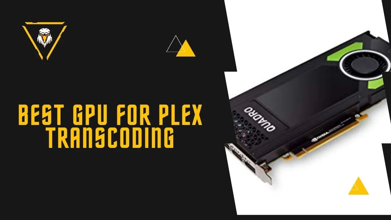 Best GPU for Plex Transcoding (4K, Cheap, Budget, Nvidia, AMD)