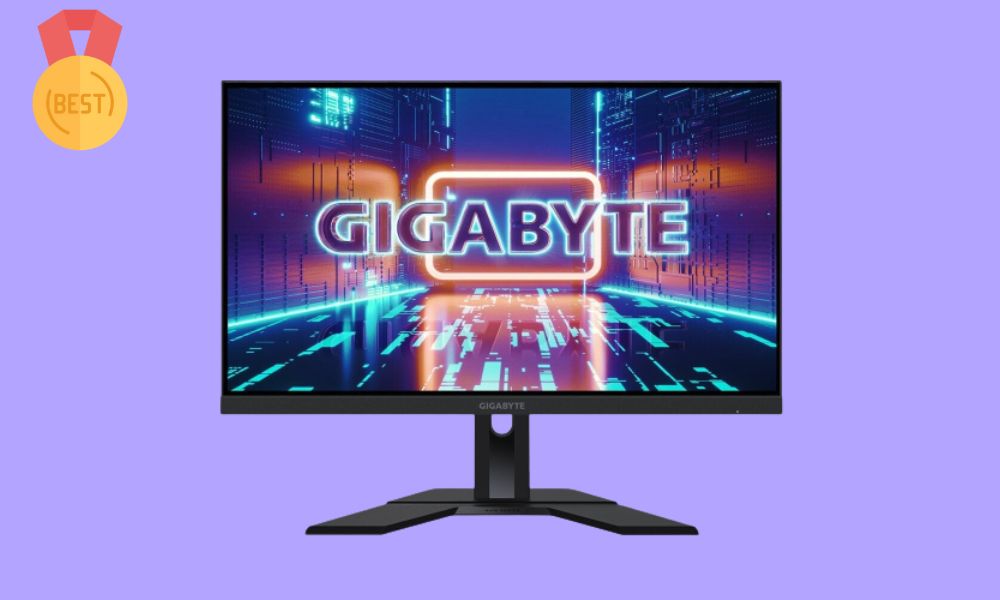 Best Monitor For RX 7900 XT